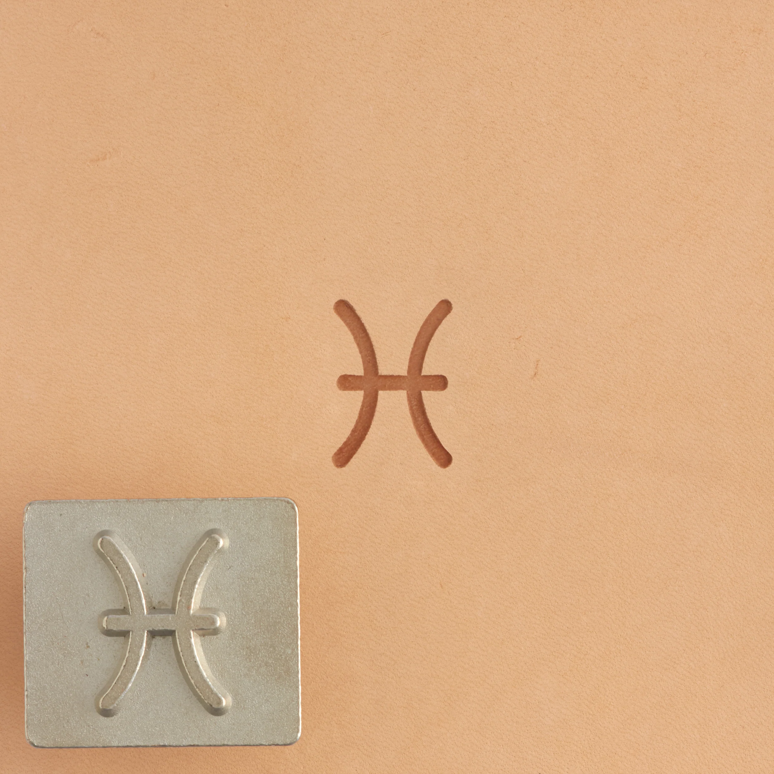 Craftool® Stamp Head Zodiac - Image 13